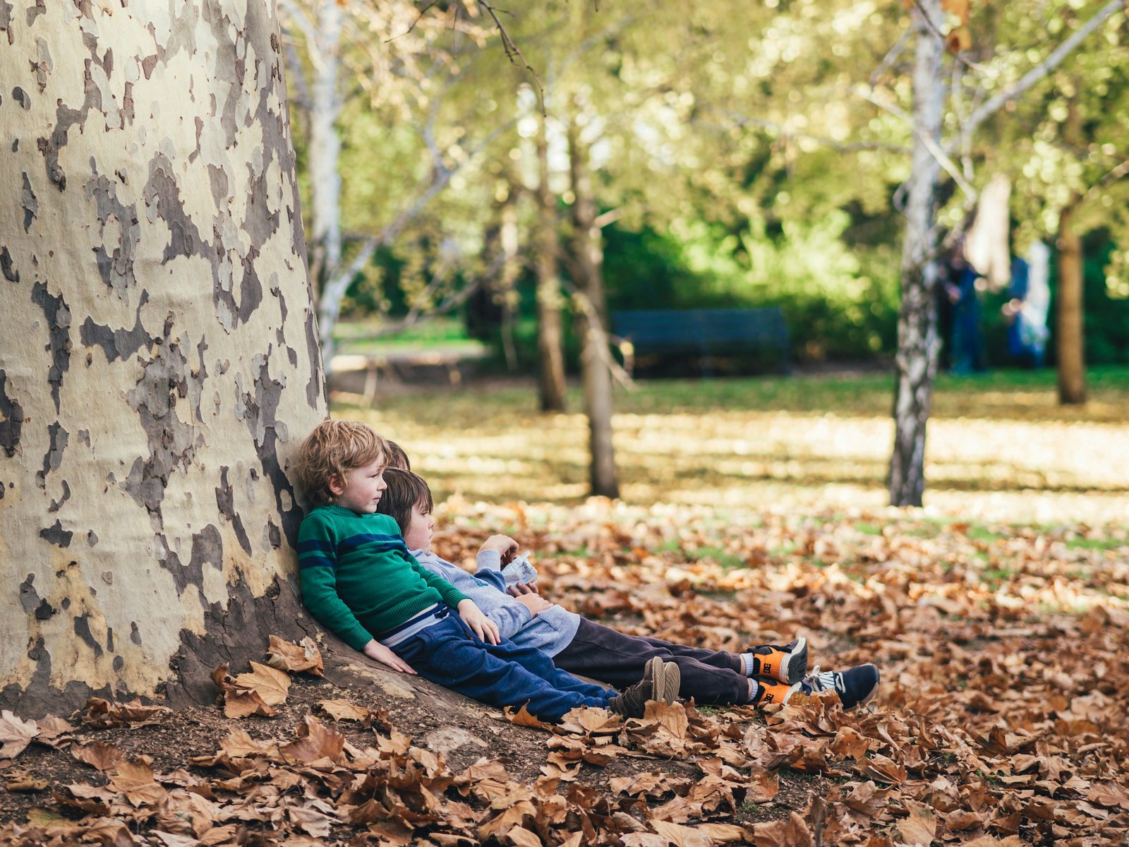 Two children sitting together on the ground among dried autumn leaves in a garden